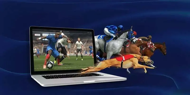 Ưu điểm vượt trội của sân chơi UG Sport